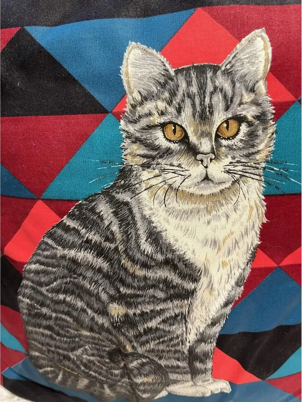 14x14” Tabby Kitty Cat 90s Colorblock Lace Edge Throw Pillow Teal Red Black